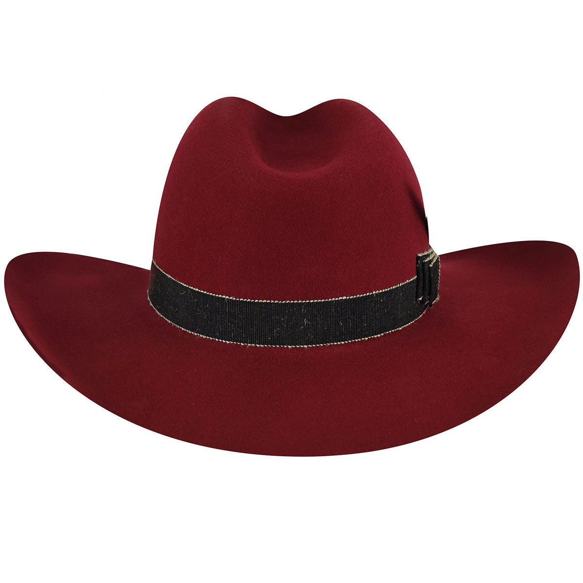 Darla L. Fedora - Exclusive - Image 3