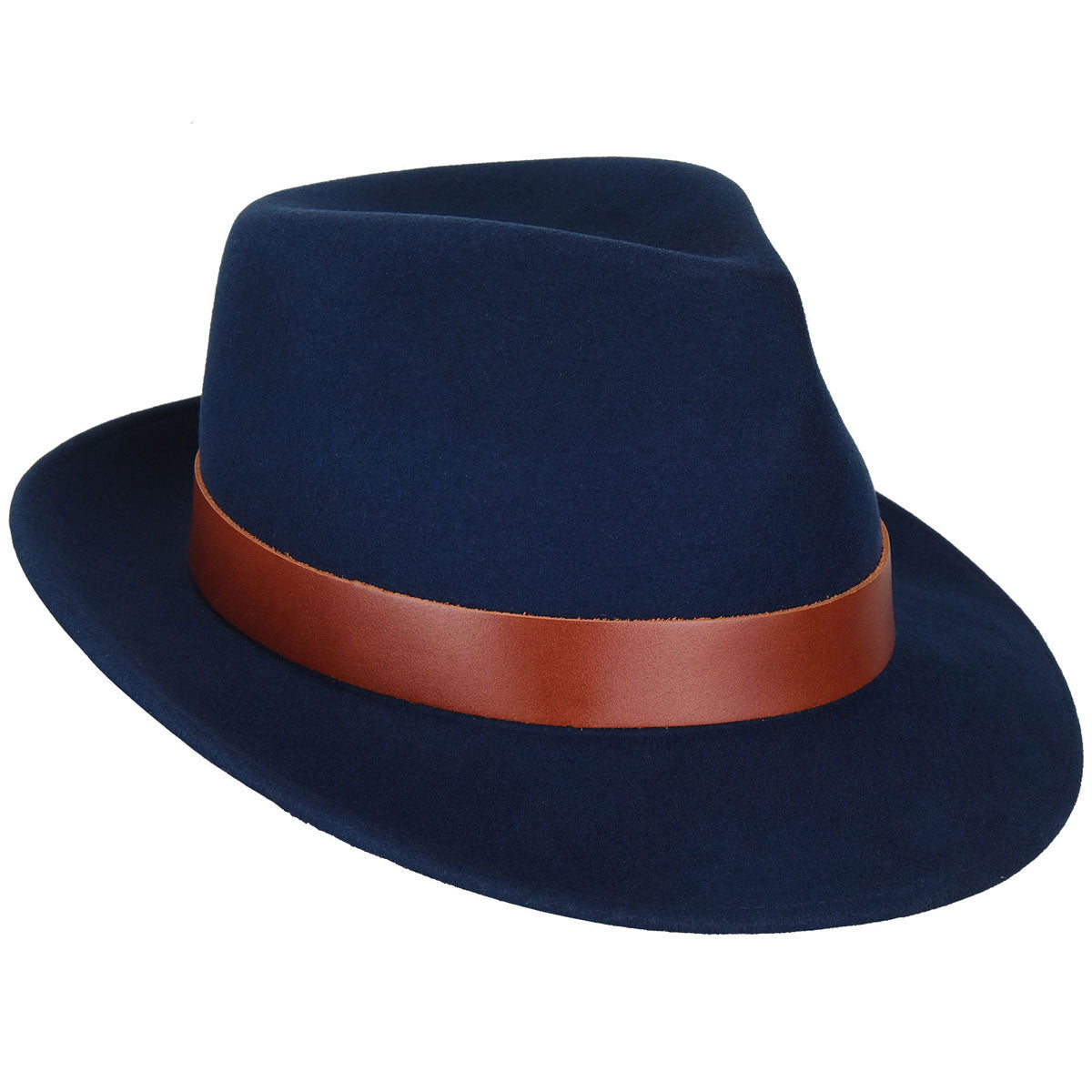 Steve J. Fedora - Image 2