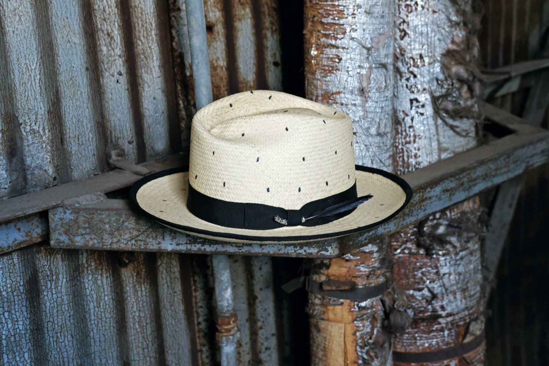 Trimmed & Crowned 313S Fedora