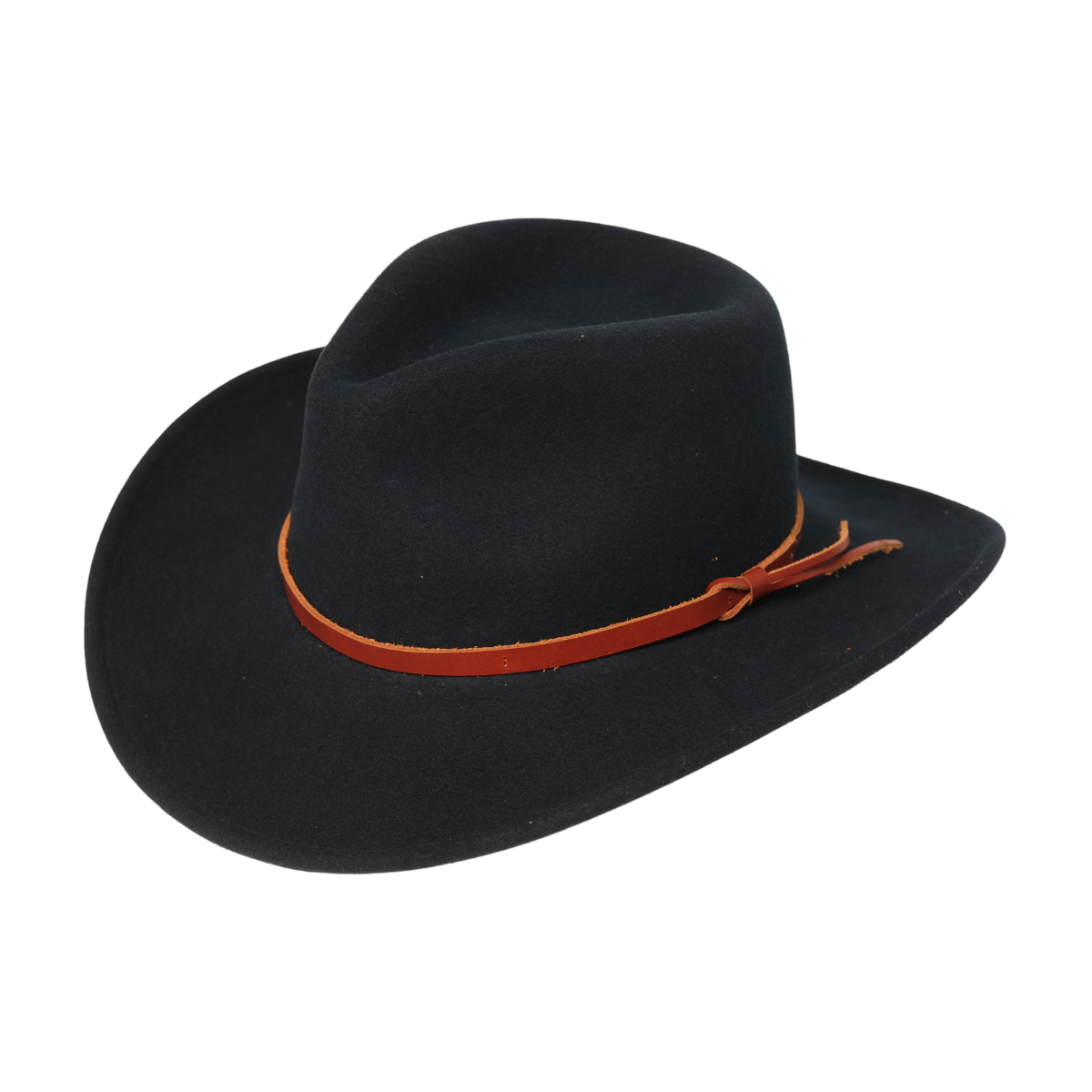 Cassidy Fedora