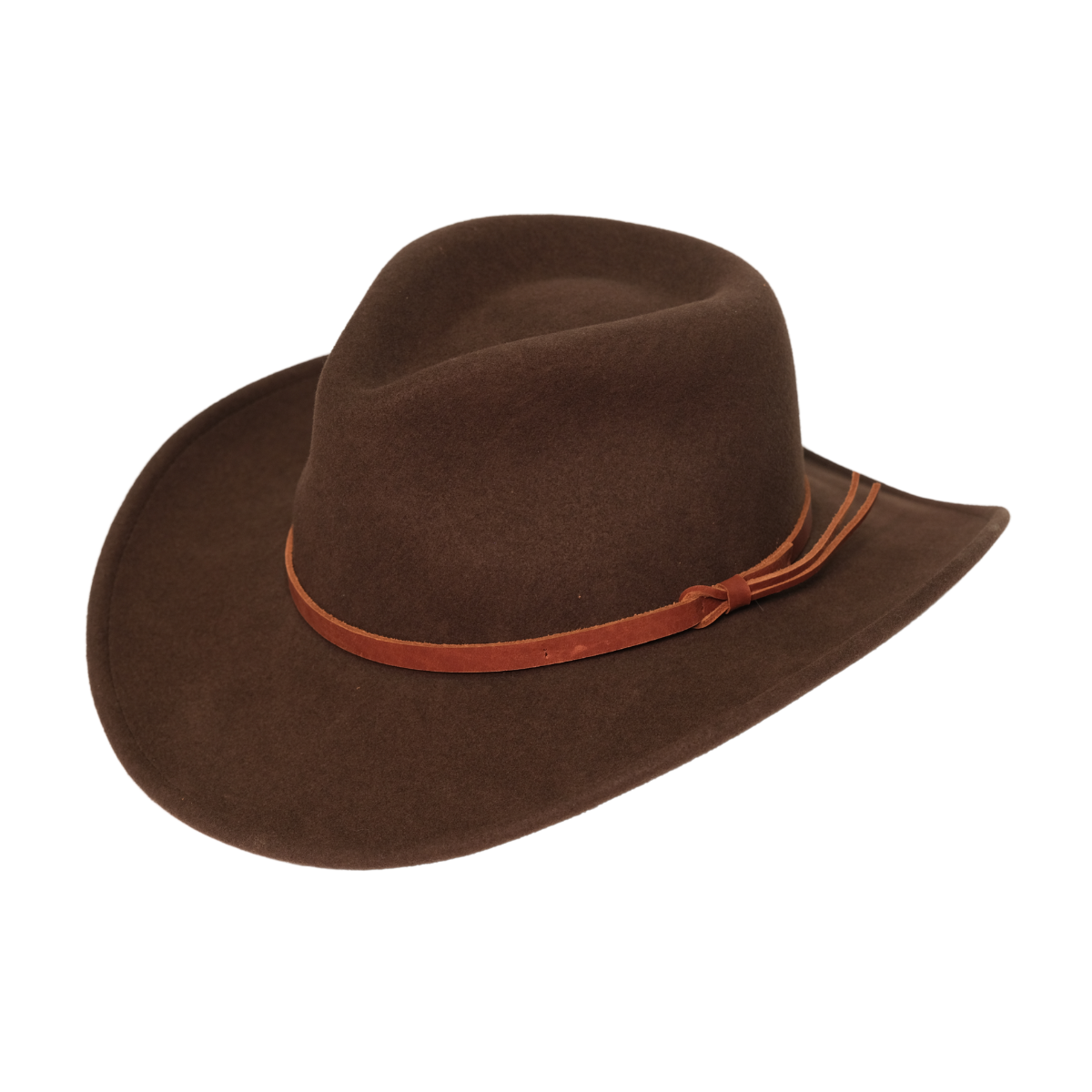 Cassidy Fedora