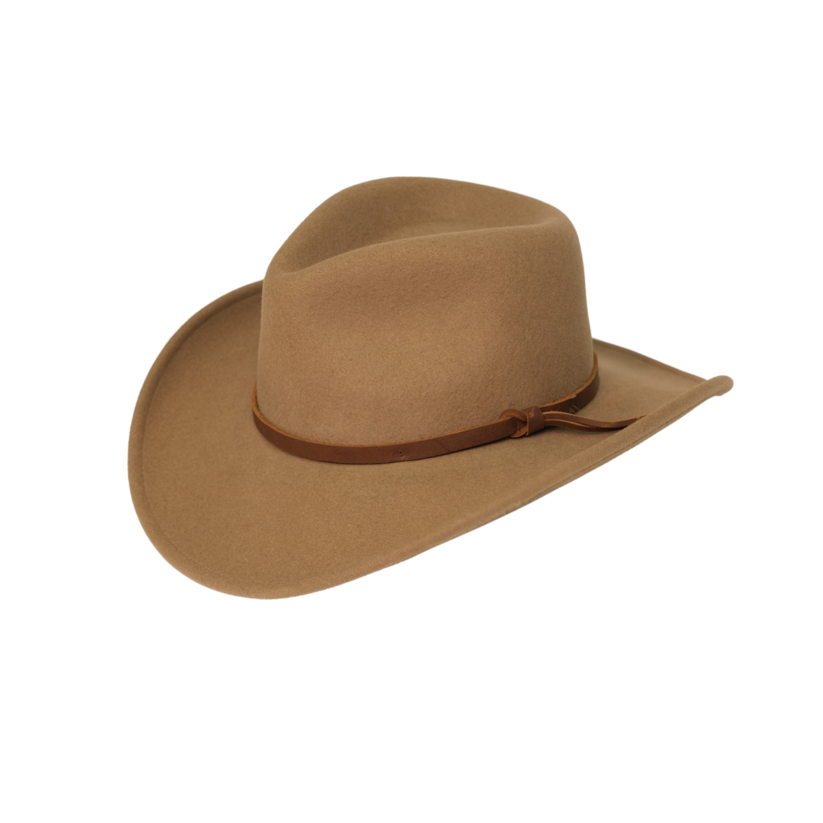 Cassidy Fedora