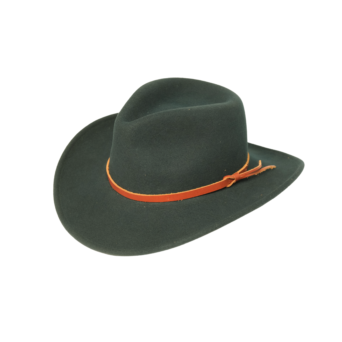 Cassidy Fedora