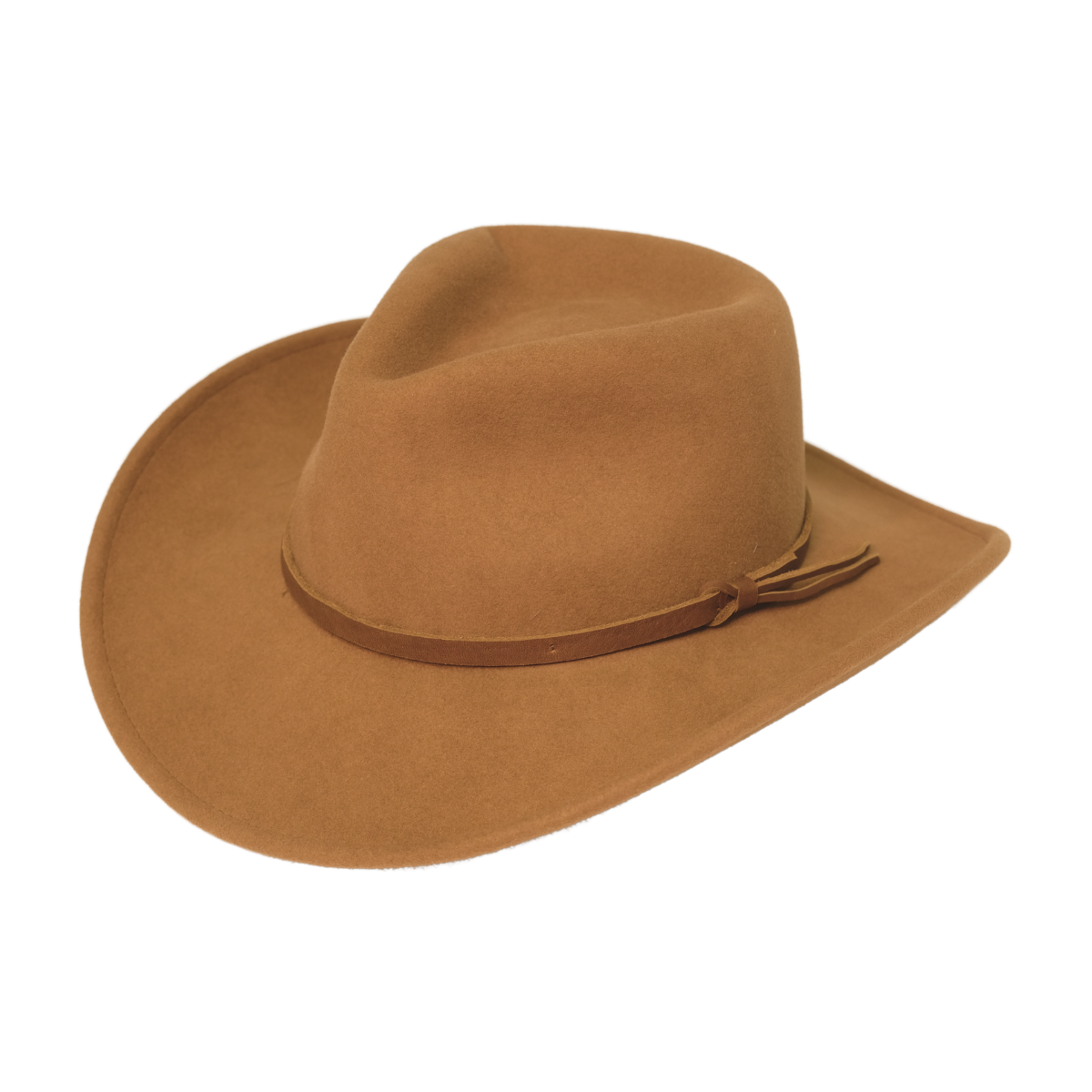 Cassidy Fedora
