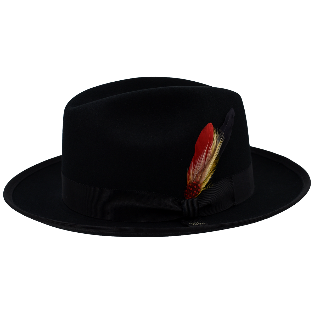 Kevin F. Fedora - Image 2