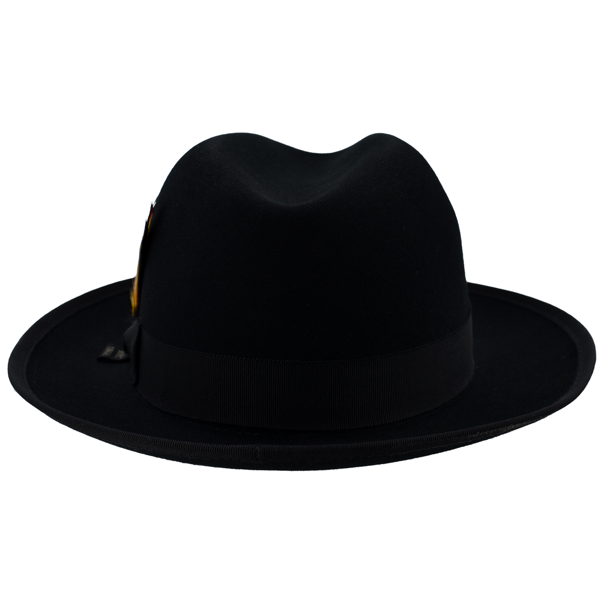 Kevin F. Fedora - Image 3