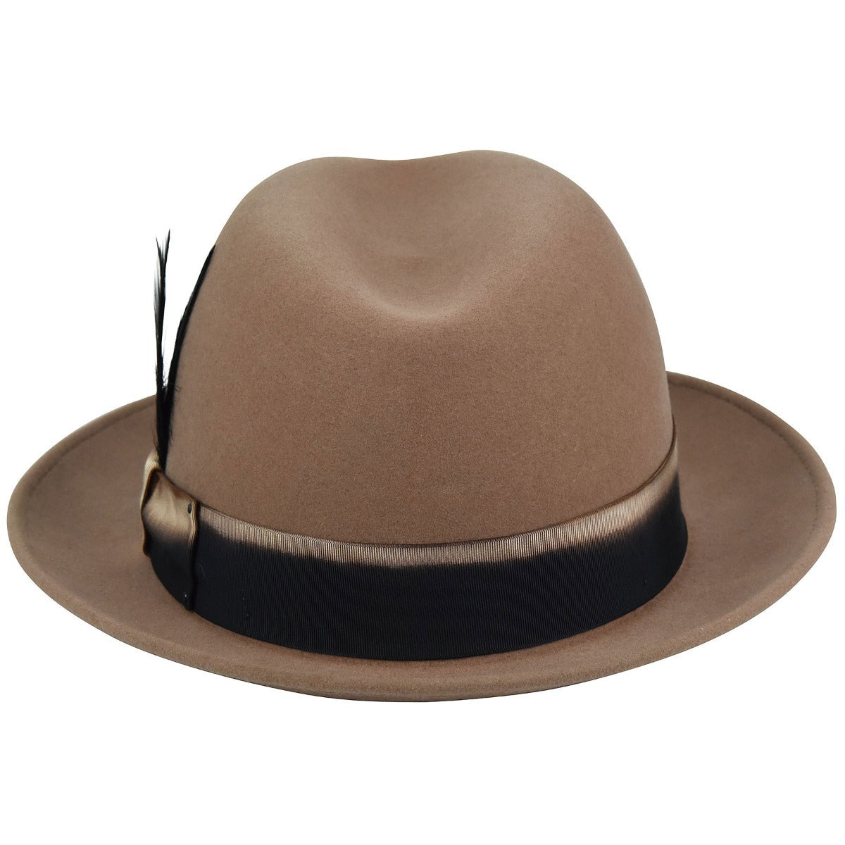 Walter R. Fedora - Exclusive - Image 3