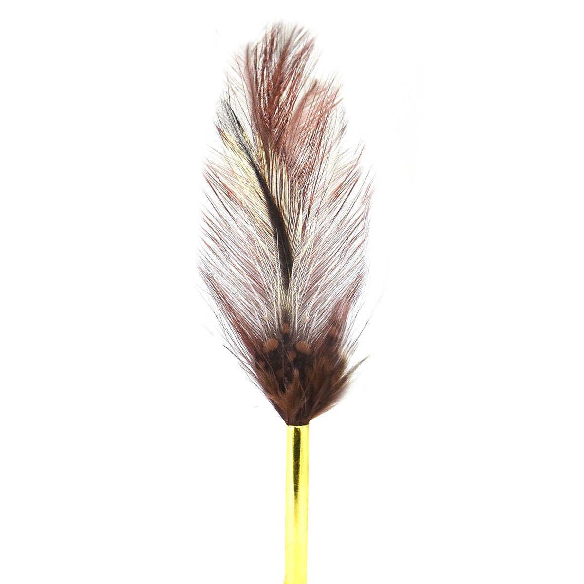 Trimmed & Crowned Brown Feather