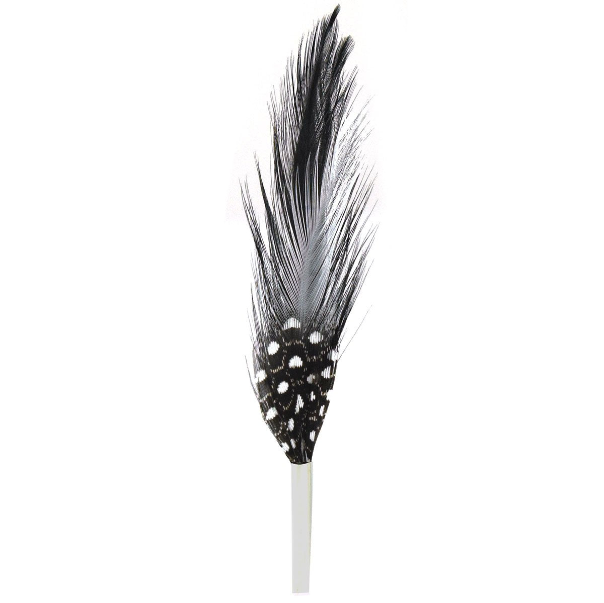 Trimmed & Crowned Black & White Feather