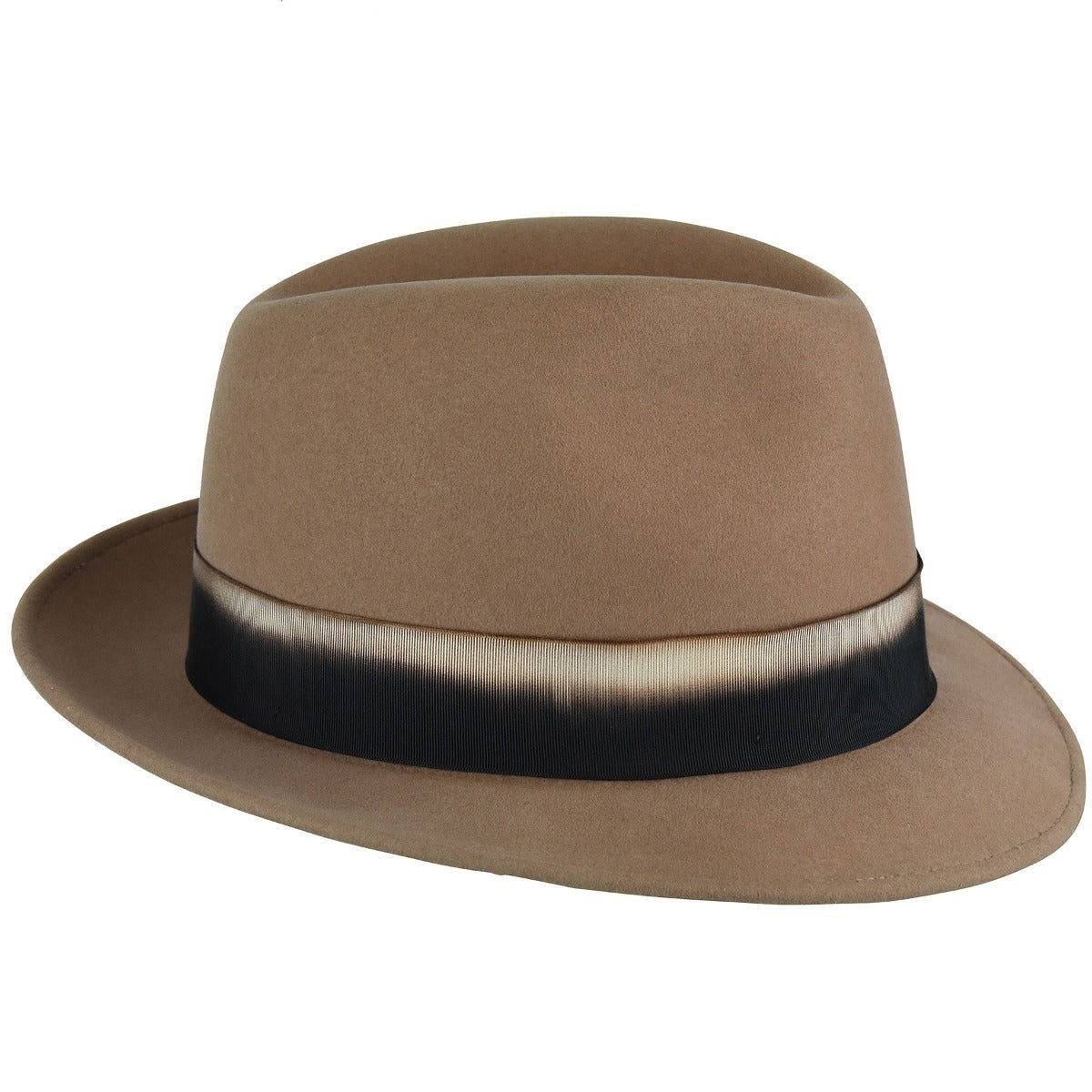 Walter R. Fedora - Exclusive - Image 2